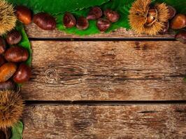 Frame of chestnuts, leaves and chestnut bur. photo