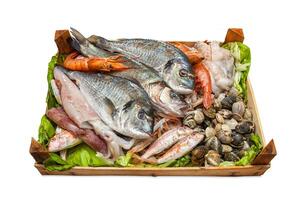 Box of fresh fish on white background. photo