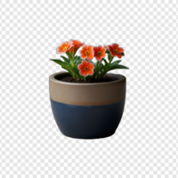 Pflanze Topf Blume isoliert auf transparent Hintergrund psd