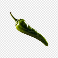 Red chili pepper on Transparent Background psd
