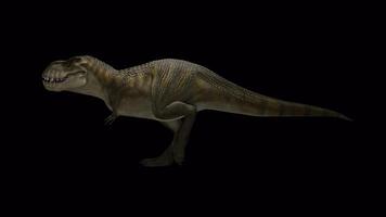 Trex walking 3d render looped video