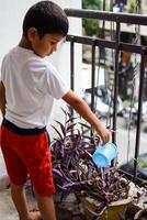 linda 5 5 año antiguo asiático pequeño chico es riego el planta en el ollas situado a casa balcón, amor de dulce pequeño chico para el madre naturaleza durante riego dentro plantas, niño plantando foto