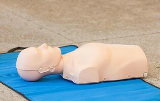 Model of dummy used for CPR training photo