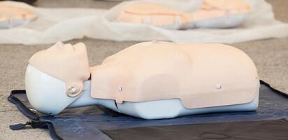 Model of dummy used for CPR training photo