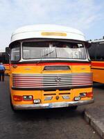 Typical bus of Malta photo