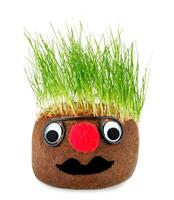 Puppet with ground wheat sprouts for hair. photo