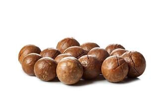 Close up of Macadamia Nuts isolated on white background photo
