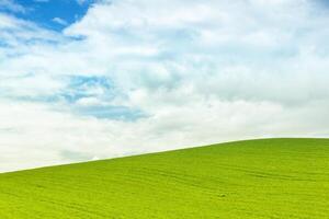 Background of green field with blue sky photo