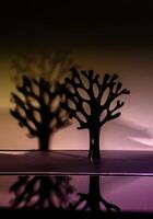 Black tree with reflection in water and shadow on the background. photo