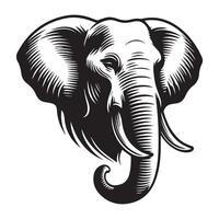 elefante - majestuoso elefante cara ilustración en negro y blanco vector