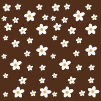 Hand drawn white frangipani flower on brown background vector