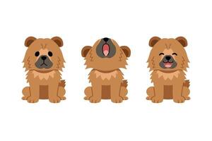 Set of cartoon character cute chow chow dog vector