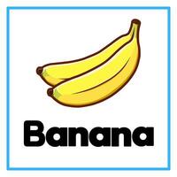 fresh banana alphabet illustration vector