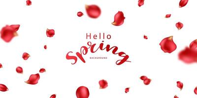 beautiful flower petal design background Spring illustration vector