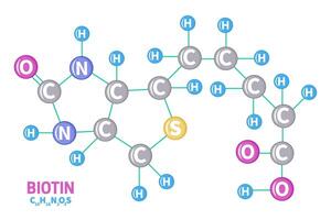 Biotin Vitamin B7 Molecule Structure Formula Illustration vector