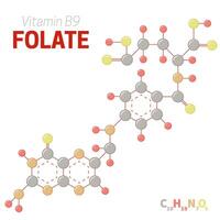 Folate or Vitamin B9 Molecule Structure Formula Illustration vector