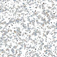 Terrazzo Stone Texture Seamless Pattern Design Gray on White Background vector