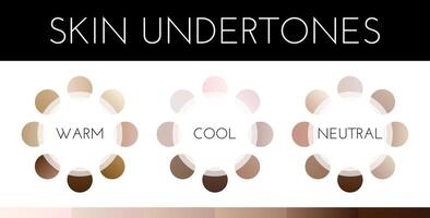 Gradient Skin Color Swatches vector