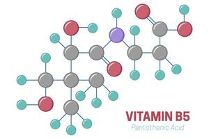 pantoténico ácido vitamina b5 molécula estructura ilustración vector