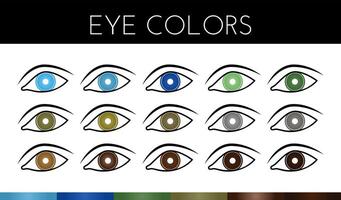 Eyes Vectors with Eye Color Swatches