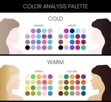 Seasonal Color Analysis Chart for Image Consultants with Winter, Summer, Spring and Autumn Types vector