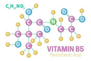 Pantothenic Acid Vitamin B5 Molecule Structure Formula Illustration vector