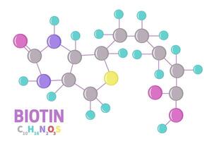 Biotin Vitamin B7 Molecule Illustration vector