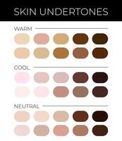 Skin Undertones Colors with Solid Swatches vector
