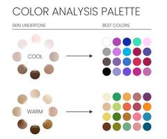 Color Analysis Palette by Cool and Warm Skin Undertones and the Best Colors to Wear Chart vector
