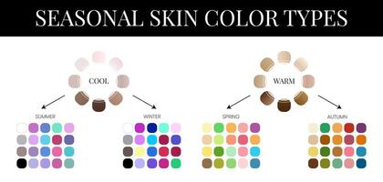 estacional piel color análisis paleta con color muestras vector