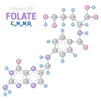 Folate or Vitamin B9 Molecule Structure Illustration vector