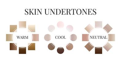 Gradient Skin Undertone Color Palette vector