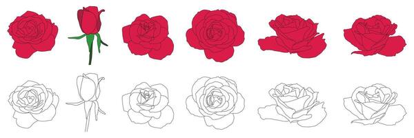 Red Rose and Outline Flower Illustration Set. Isolated Collection on White Background vector