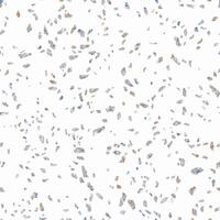 Light Beige Terrazzo Stone Texture Seamless Pattern Design on White Background vector