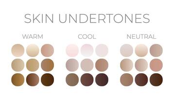 Skin Undertones Color Swatches Gradients vector