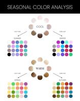 Seasonal Skin Color Analysis Chart vector