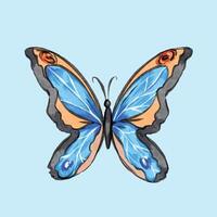 Blue and orange butterfly illustration isolated on square background. Simple flat colorful cartoon sketch style drawing. vector