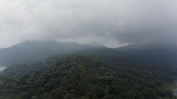 selva montañas en el niebla video