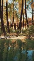 Green oasis with pond in Sahara desert video