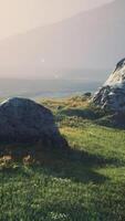 big stones in grass field video