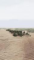 paysage désertique du mohave avec un ciel bleu nuageux video