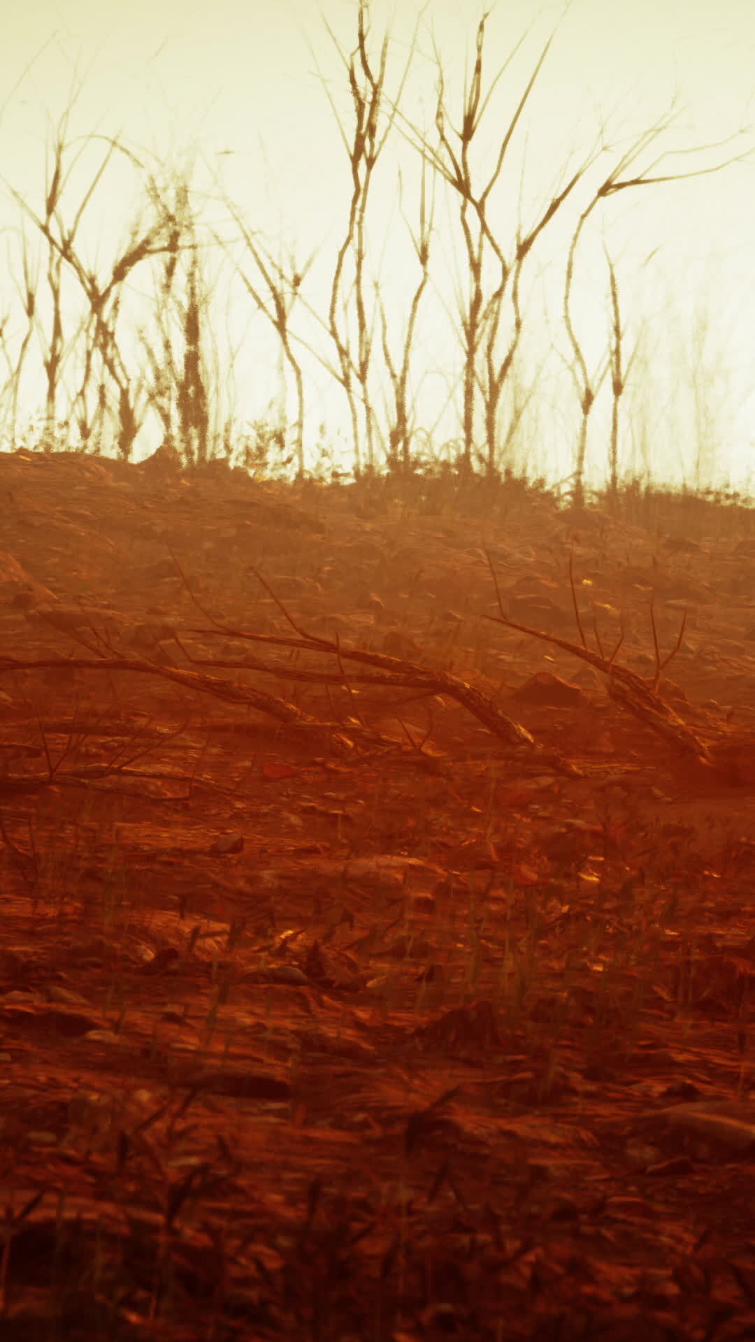 camowabb desert sand black dust