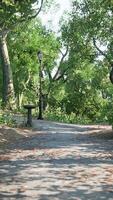Walking Street With Natural View In Public Park video