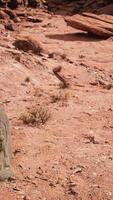 estátua antiga no deserto de rochas video