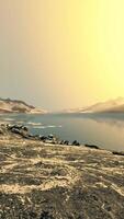 costa de la antártida con piedras y hielo video