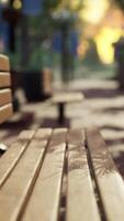 quiet city park with trees and benches video
