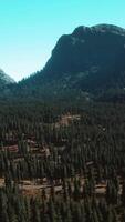 vista aérea de la carretera de montaña y el bosque video