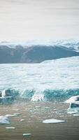 many melting icebergs in Antarctica video