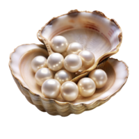 Radiant Pearls Nestled in a Seashell on a Transparent Background png