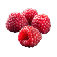 Fresh Ripe Raspberries Highlighted Against a Transparent Background png